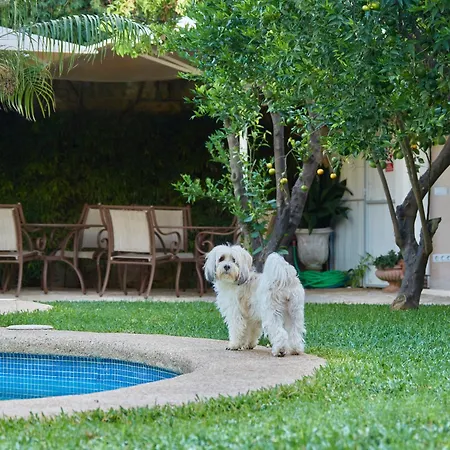 Son Sant Jordi Готель Польєнса