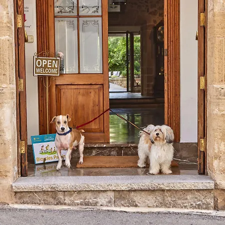 Son Sant Jordi Готель 4*