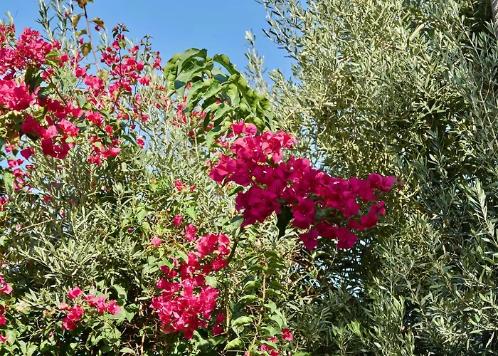 Hotel Son Sant Jordi Pollenca