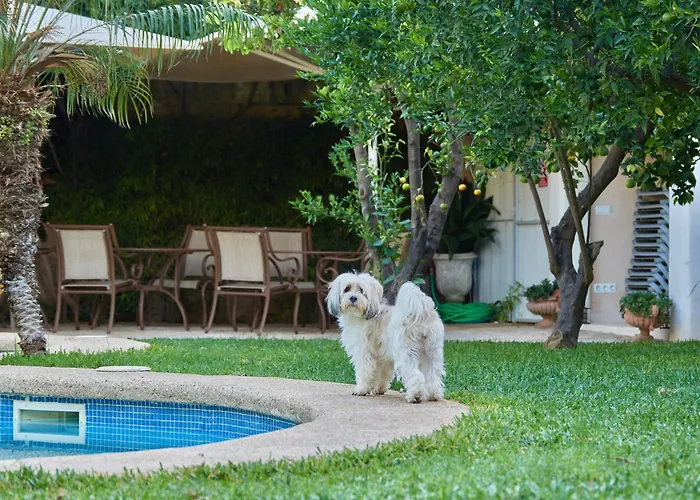 Son Sant Jordi Hotel Pollença