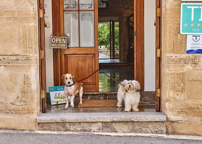 Son Sant Jordi Hotel 4*