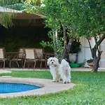 Son Sant Jordi Hotel Pollenca