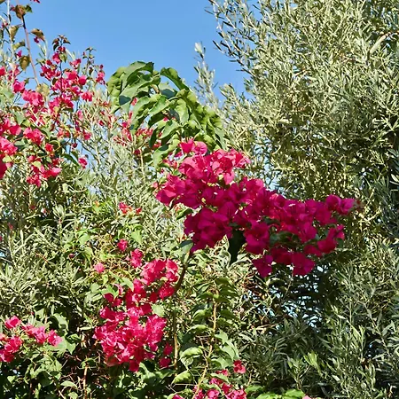 Отель Son Sant Jordi Польенса