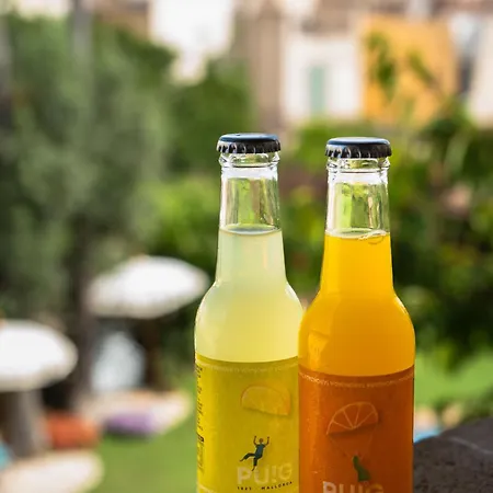 Son Sant Jordi Hotel Pollensa